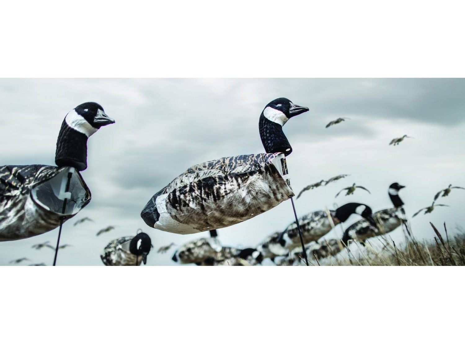 NEW Deadly Decoys SHCAN1 Sentry Head Canada Goose Motion Decoys 12