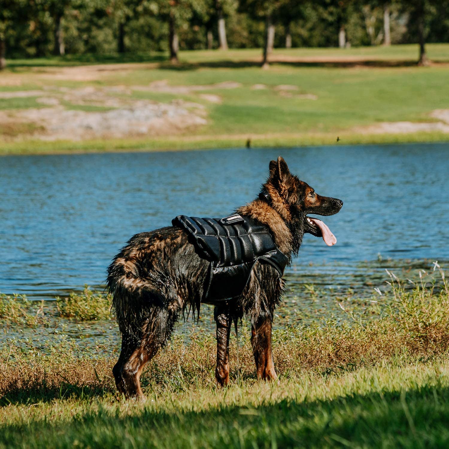 New Coolaid Terrain Dog Swim Vest For Dogs Gray/Black eBay